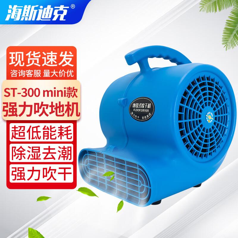 Haisidick Commercial Floor Blower Dryer