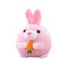 Interactive Dog Toy Ball with Bouncing Action and Music Modes for Play