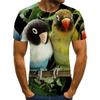 Summer Round Neck Cute Animal Pattern 3D Print Top Fashionable Casual Short Sleeved Men's T-shirts