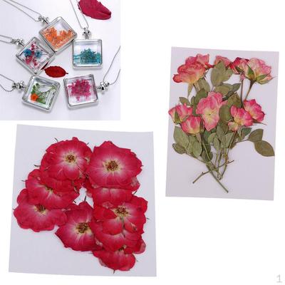 20 Pièces Fleurs Pressées Séchées Pour Coque