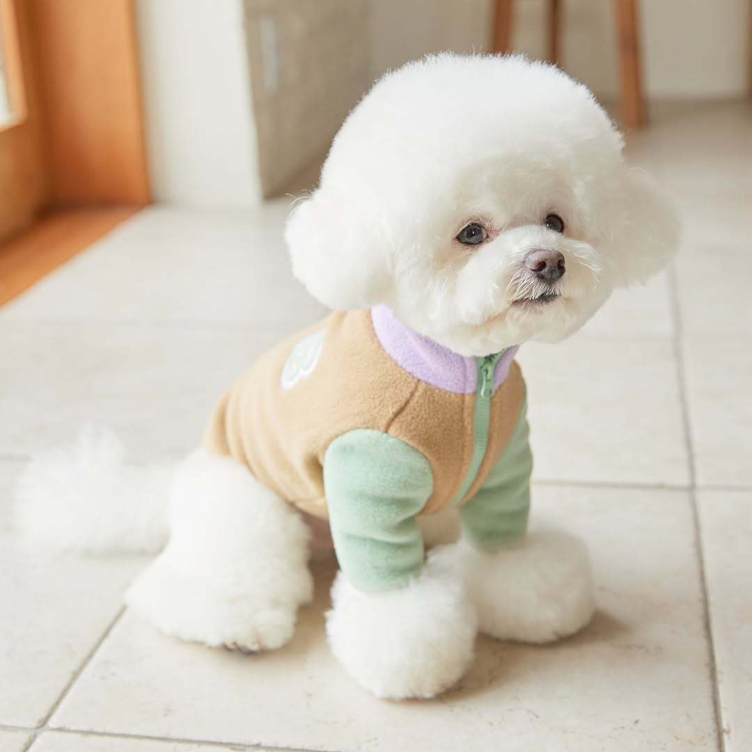 

Winter Pet Fleece Vest Contrast Color Sleeveless Sweater Small Dog Cat Apparel Thermal Warm Coat Two Legs Outfit Soft Warmth Puppy Kitten Clothing XXL