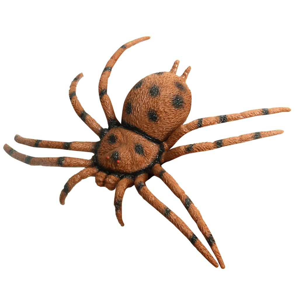 Spider Model Lifelike Exquisite Simulated Large Spider Toy for Teaching Entertainment Brown