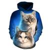 Modischer Kinder Hoodie Tiergrafiken Langarm Fuchs 3D Druck Junge Mädchen Sweatshirt Streetwear Locker Kinderkleidung Oberteil