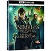 Film Collection - Fantastic Beasts - Ultra HD Blu-ray - 3 Films - Special Edition