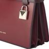 Michael Kors Tatiana Fashion Color Block Simple Lock Decoration Shoulder Crossbody Mini Handbag Women Handbags Red 30F9GT0S1T-BRANDY-MULTI