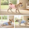 New Style Dog Sterilization Suit: Breathable, Anti-Licking, High-Elastic Recovery Suit with Simple Tie-Up Design