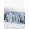 Wall Art Winter Snow Forest Train Deer Squirrel Pine Cone Canvas Painting Posters and Prints for Living Room Home Decor