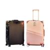 Korean Style Unisex Travel Suitcase: Universal Wheels, Large Capacity, Leather, Combination Lock, Aluminum Frame