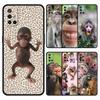 Handyhülle Für OnePlus 15 13 12 11 10 9 8 7T Pro 13T 13R 12R 10R 9RT 8T Nord 2T CE 2 3 5G Lite Weiche Hülle Süßer Lustiger Affe