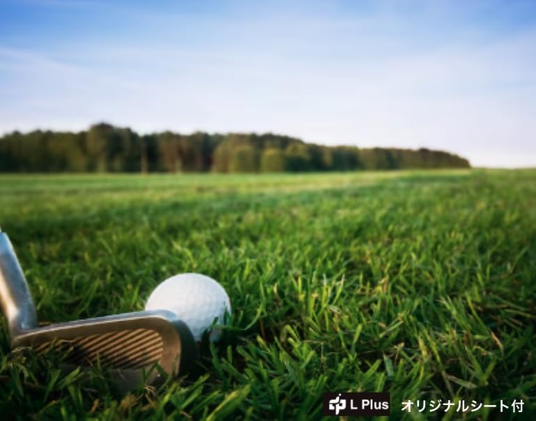 Honma Golf D1 SPIN Gelb BT2301 2023 3 Dutzend mit Originalbogen (36 Bälle)