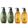 Soapberry Oil Control & Ginger Strengthening Hair Care Set