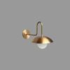 Gooseneck Brass Wall Sconce with Globe — Curved‑Arm Indoor/Outdoor Light Fixture