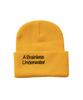 BIGWAVE COLLECTIVE Jelly Fish Univ Beanie (3 Colors)