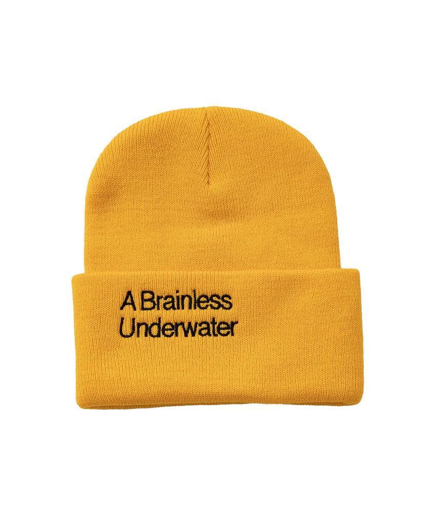 BIGWAVE COLLECTIVE Jelly Fish Univ Beanie (3 Colors)