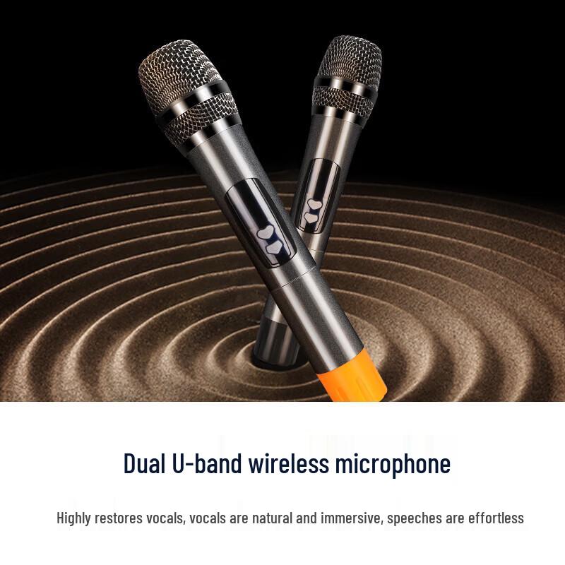 SAST SA-165 15-inch Portable Bluetooth Speaker CN plug (adapter included)