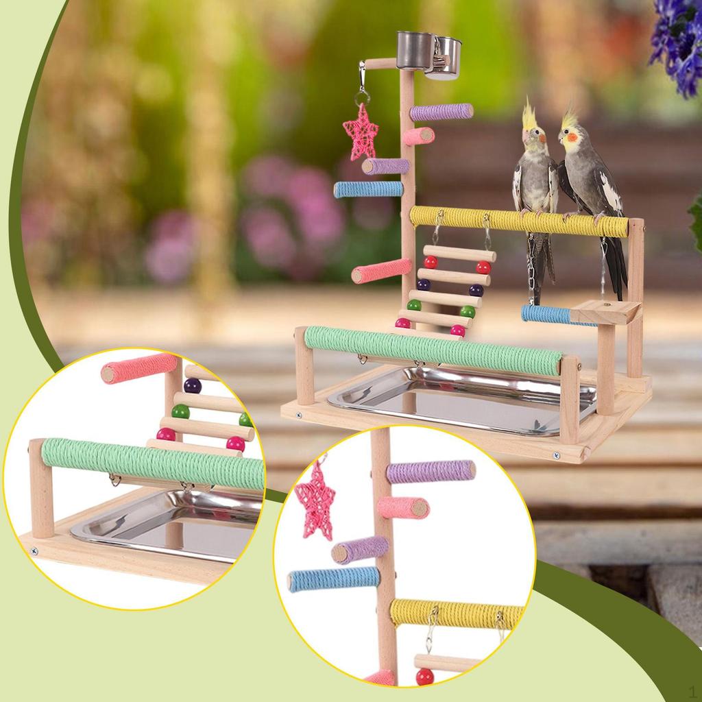 Bird Play Stand Parrot Playground 2 Stainless Steel Cups Perches Gym Wood Perch