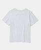 COLUMBIA UNIVERSITY Cu Arch Women Slim-Fit S/S T-Shirts_Light Melange Gray