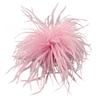 Spilla a Piuma Moda Donna Spille da Bavero Accessori per Capelli Cappello Spilla Corsage in Piuma di Struzzo Spille da Bavero a Piuma per Maglione