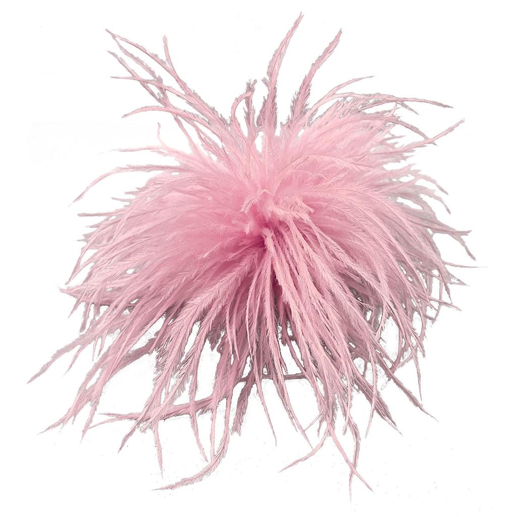Spilla a Piuma Moda Donna Spille da Bavero Accessori per Capelli Cappello Spilla Corsage in Piuma di Struzzo Spille da Bavero a Piuma per Maglione