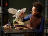 Lego Harry Potter 76391 - Iconițele Hogwarts (Editie de colectie)