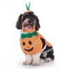 Christmas Pet Costume: Bat, Pirate, Clown, Delivery Outfit for Dogs