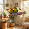 Wood Interactive Bird Toy DIY Bird Training Stand Sturdy Rotating Bird Perch Toy  Bird Play