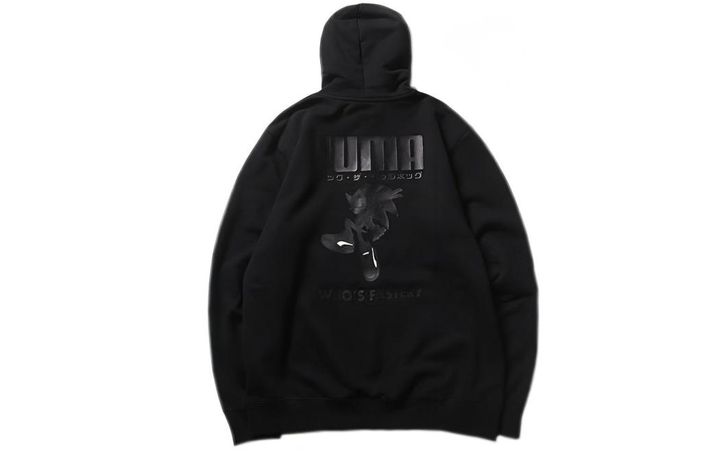 Puma Sweatshirts Men's Hooded Moderate Regular 598103-01
