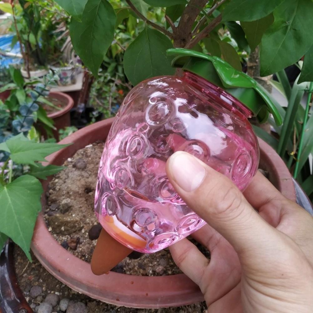 Water Conservation Succulent Plant Sprinkler Transparent Automatic Watering Device Indoor Plants