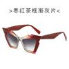 JYL TS Sunglasses UV Street Travel Women Style/18021
