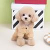 Fashion Winter Dog Warm Clothes Windproof Padded Down Dog Hiking Jacket Adjustable Pet Clothes Puppy