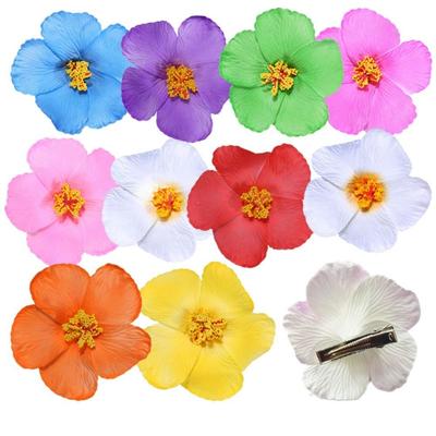 Accesorios para el cabello – Pinzas y clips para el pelo