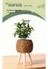 Triangular Faux Rattan Flower Stand - Desktop Succulent Holder and Decorative Straw Woven Pot