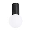 Halo Ceiling Lamp Black IP44