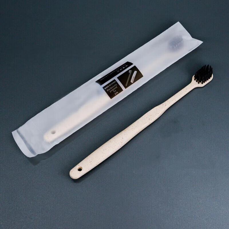 Set Spazzolino da Denti e Dentifricio da Viaggio Monouso
