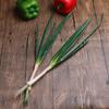 Realistic Artificial Green Onion PU Imitation Scallions Model Simulation Vegetable  Snapshot