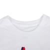 Nike Paris Saint Germain Away Men's Nike Soccer T Shirt HV4953-100
