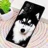 Animal Husky cute Puppy Dog Phone Case for Samsung Galaxy note 10 pro S26 Ultra S23 S24 FE S25 S21 S22 PLUS shockproof Cove