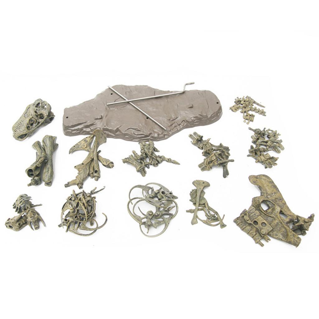 10ml Dinosaur Skeleton Resin Crafts Personalized Desktop Ornaments