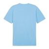Puma Mens TeamFinal Training Jersey