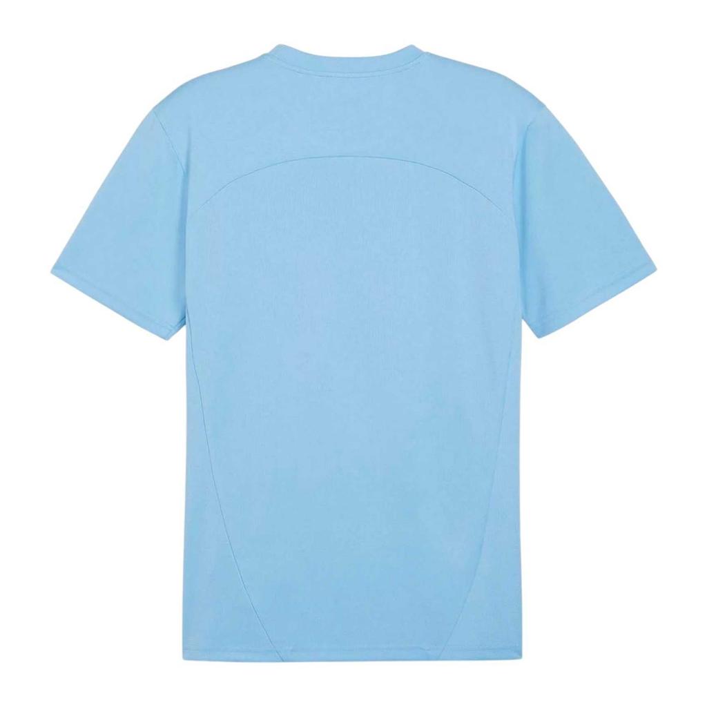 Puma Mens TeamFinal Training Jersey