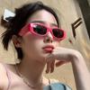 Fashionable New Arrival Women's Small Frame Sunglasses with UV Protection