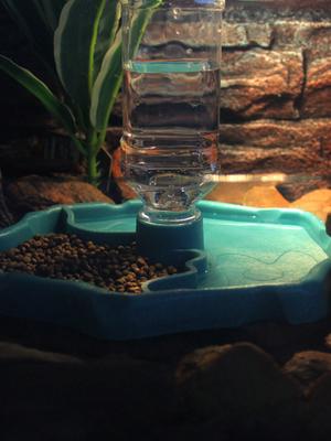 1 Stück automatischer Wasserspender und Futternapf für Haustiere – geeignet für Echsen, Geckos, Chamäleons, Schildkröten und kleine Reptilien