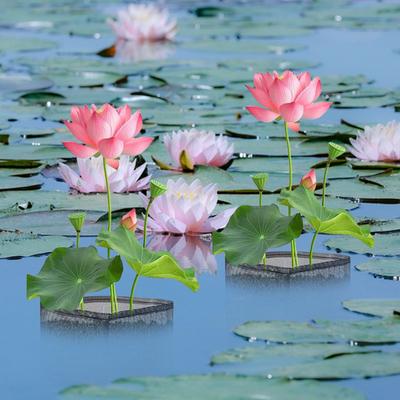 4 Pcs Pond Plant Baskets Reusable Lily Plant Pots Mesh Aquatic Water Garden Growing Container for Aquatic Plants Lily Lotus