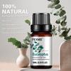 Eucalyptus Essential Oil 100% Pure Natural - for Sleep, Relax, Skin Moisturizing Care & Aromatherapy
