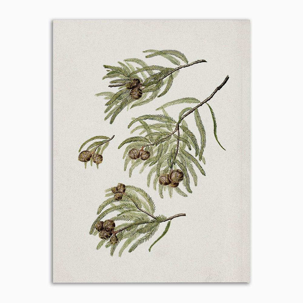 Vintage Poster and Print Botanical Still Life Wall Art Boho  Antique Canvas Painting Textile Art Decoration for Living Room Home