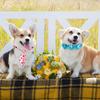 Chumia 100 Pcs Adjustable Dog Ties Set Includes 50 Bow Ties 25 Neckties 25 Flower Neck Tie Assorted Bowtie Collar Grooming Accessories for Medium