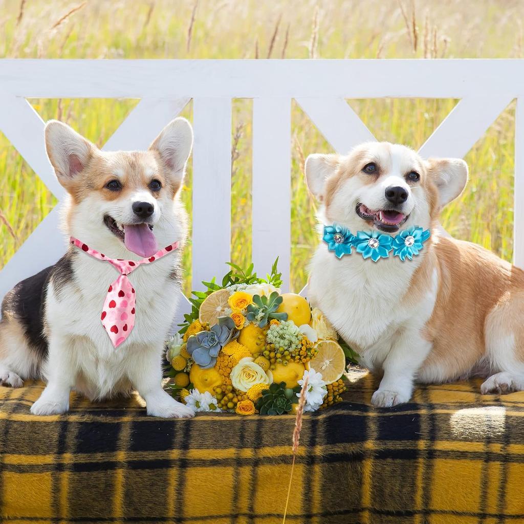 Chumia 100 Pcs Adjustable Dog Ties Set Includes 50 Bow Ties 25 Neckties 25 Flower Neck Tie Assorted Bowtie Collar Grooming Accessories for Medium