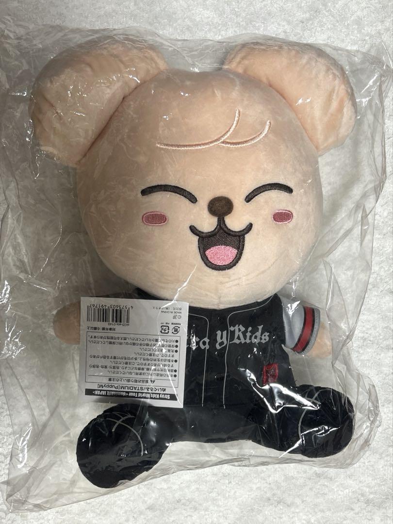 

[USED] Final Price Drop: Stray Kids Seungmin Puppy Plush Toy