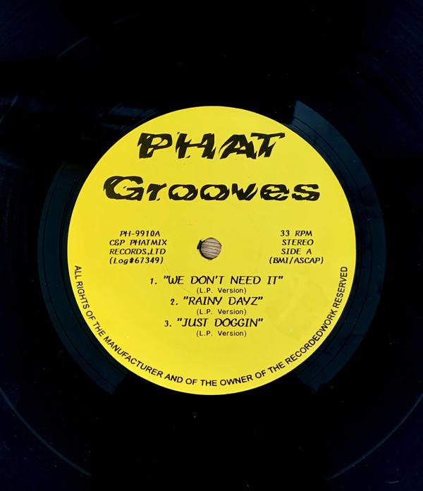 

12inch Record VARIOUS - Untitled PH9910 Phat Grooves 1996 US Rap & Hip-Hop/R&B Used