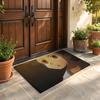 Floor Mat Soft Flannel Rug Non-Slip Absorbent Mat for Bathroom Bedroom Home Decor H-Hunter and H-Hunter Anime